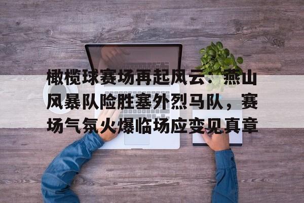 九游游戏中心-橄榄球赛场再起风云：燕山风暴队险胜塞外烈马队，赛场气氛火爆临场应变见真章的简单介绍